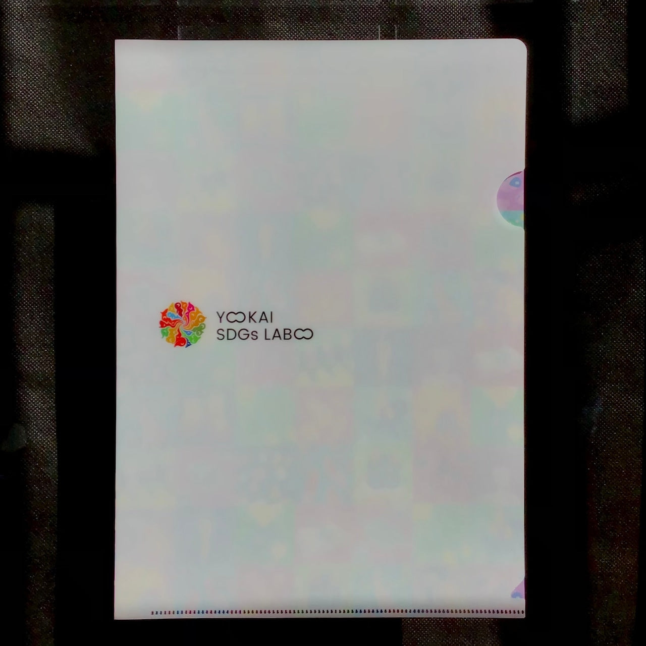 YOKAI SDGs Clear File